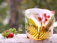 A piece of rainbow Botanical Ice Votives